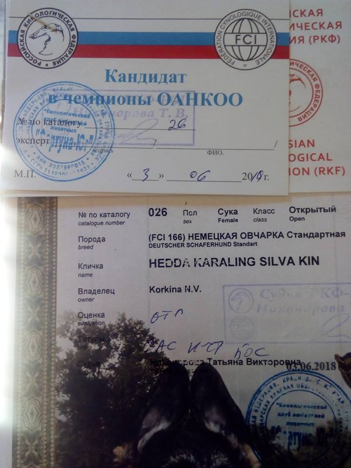 ОАНКОО 03.06.18г. Крымск.jpg